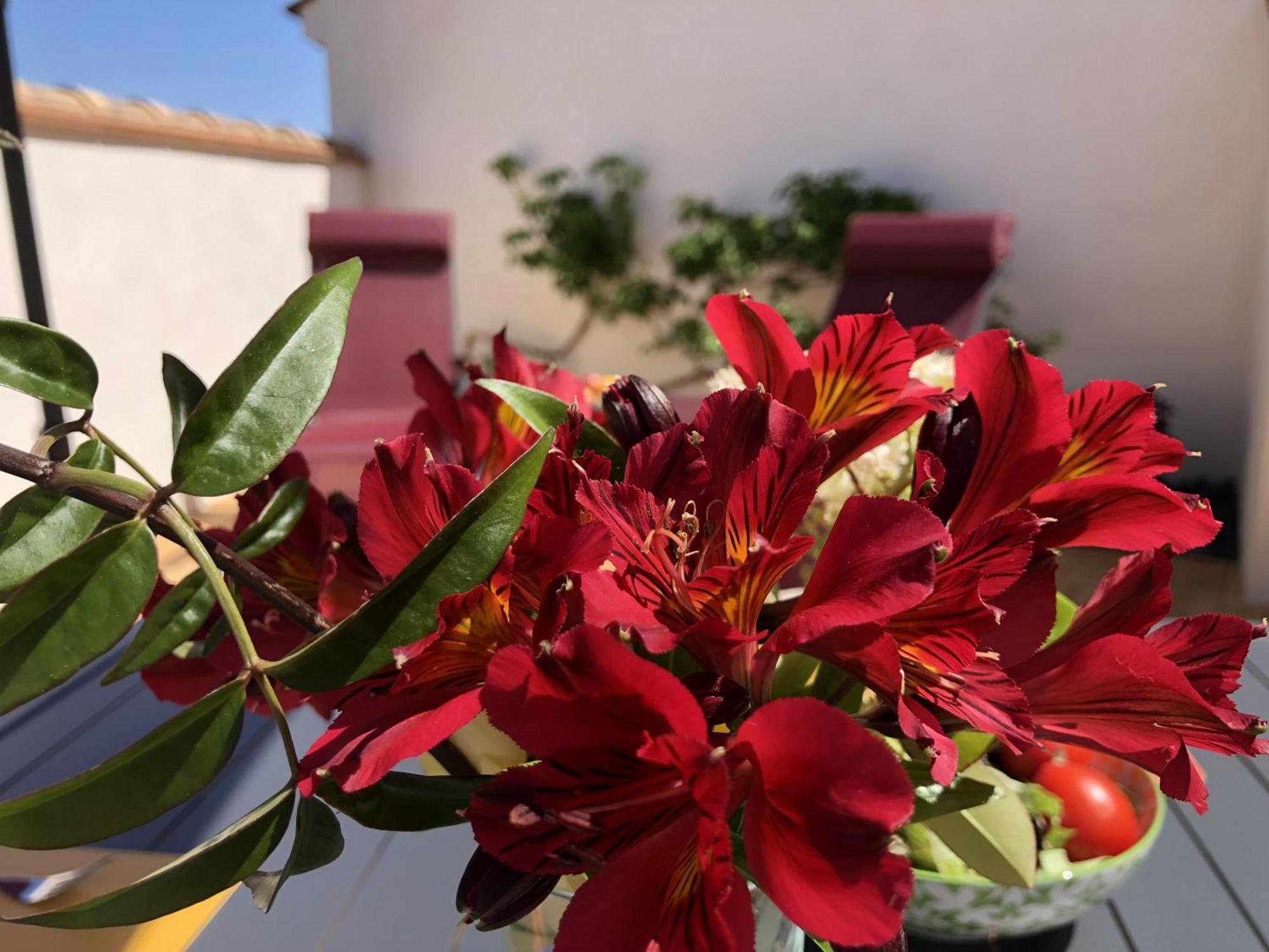 Gites La Catalane Theza Kamer foto